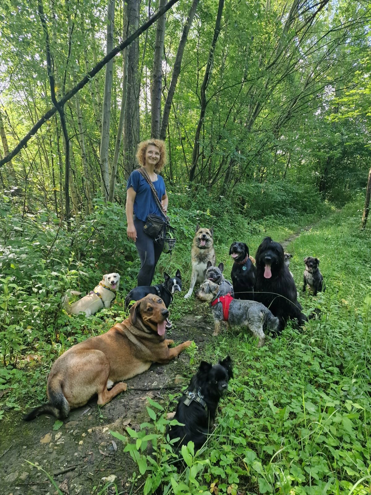 katrin, Tiersitter in Elsdorf, Foto 5