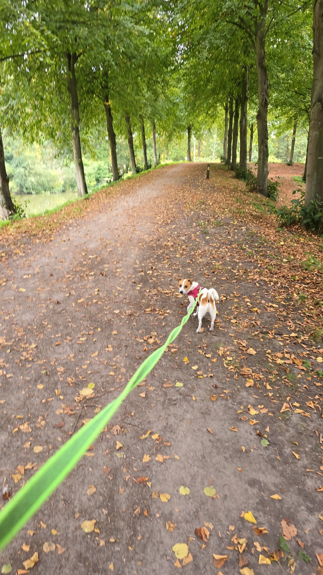 Paula, pet sitter in Heikant, photo 5