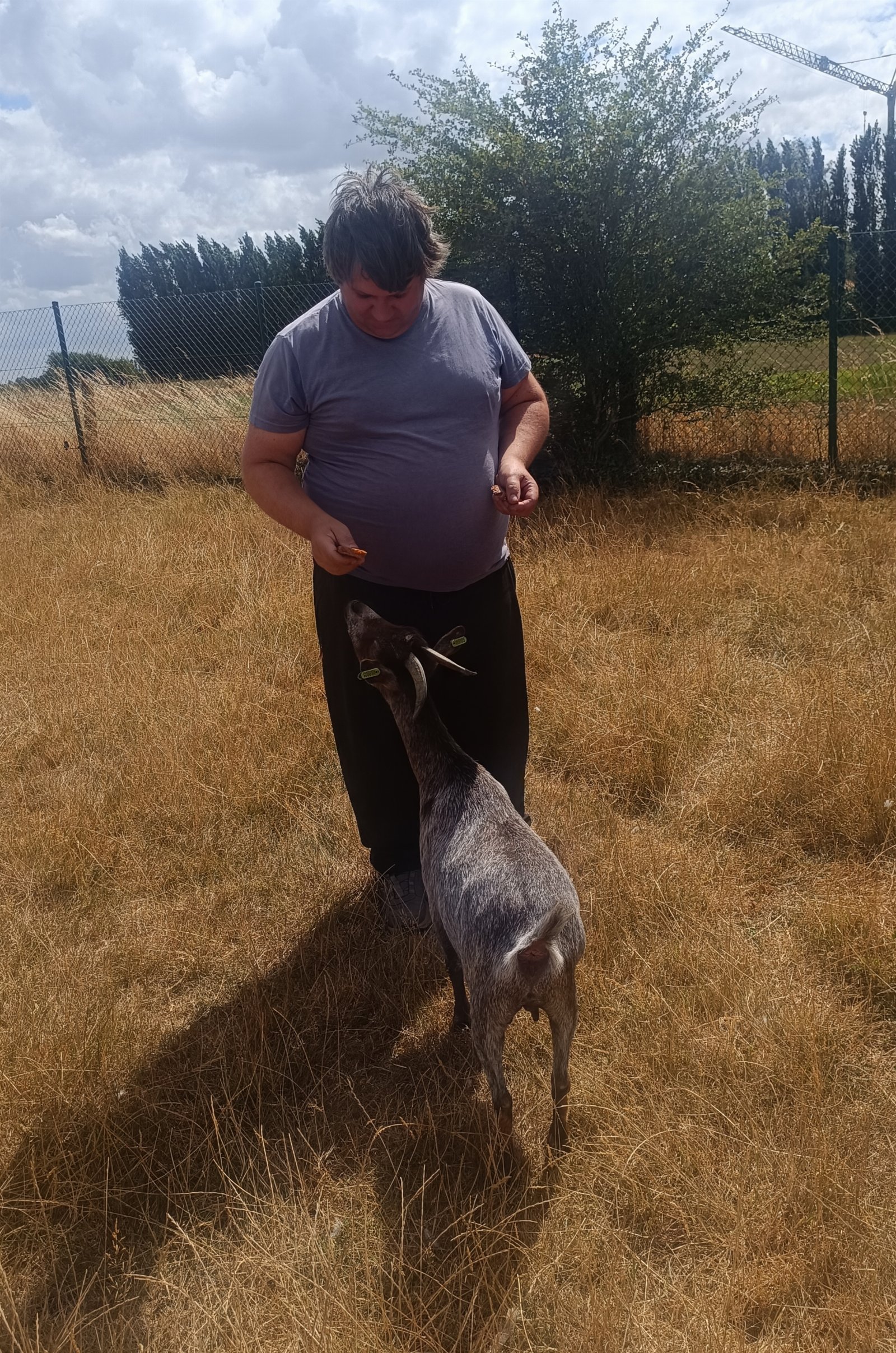 Bram, pet-sitter à Alveringem, photo 3