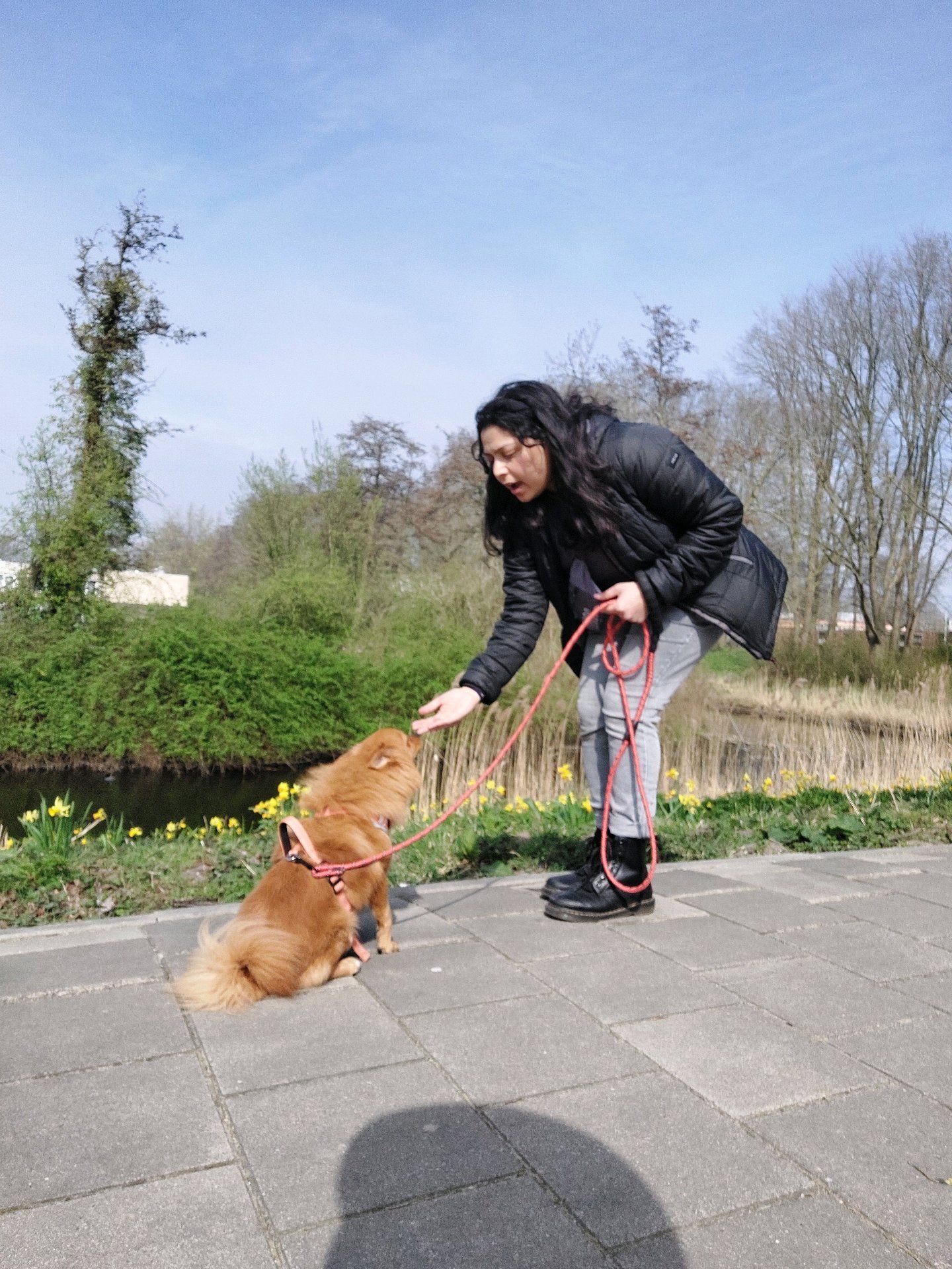 Jaini, pet sitter in 's-Hertogenbosch, photo 3