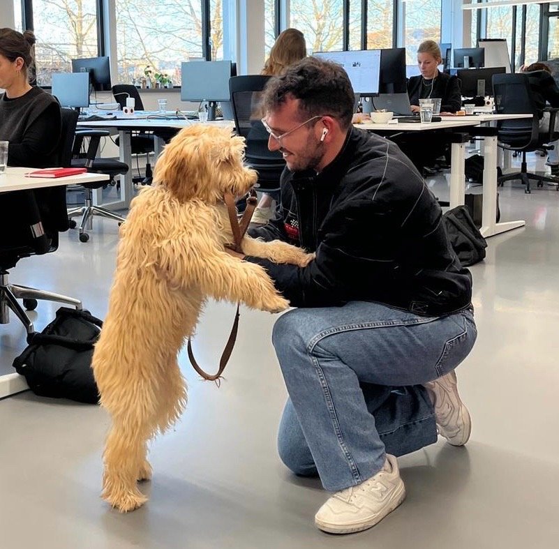 André, pet sitter in Amsterdam, photo 2