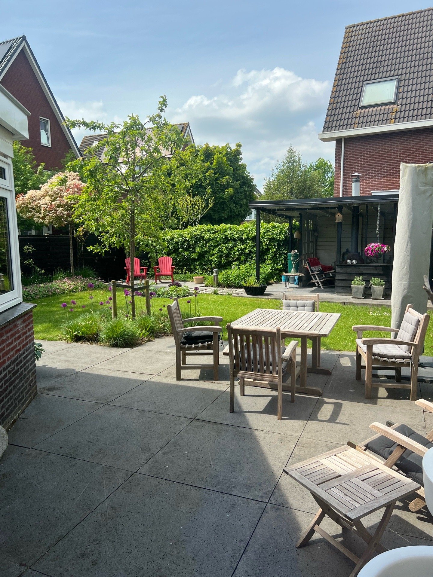 Naut, pet sitter in Houten, photo 3