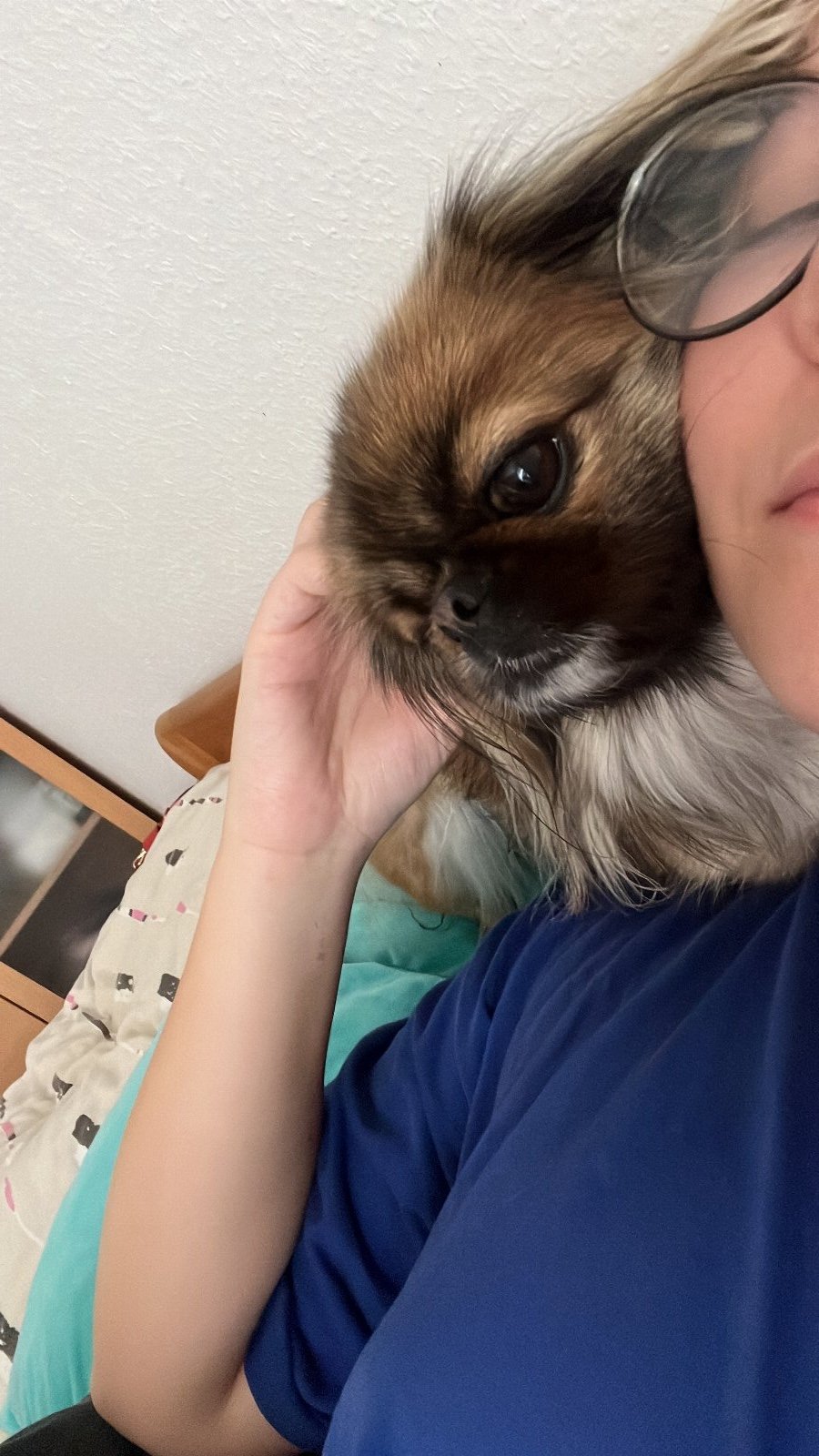 Daria, pet sitter in Pforzheim, photo 4