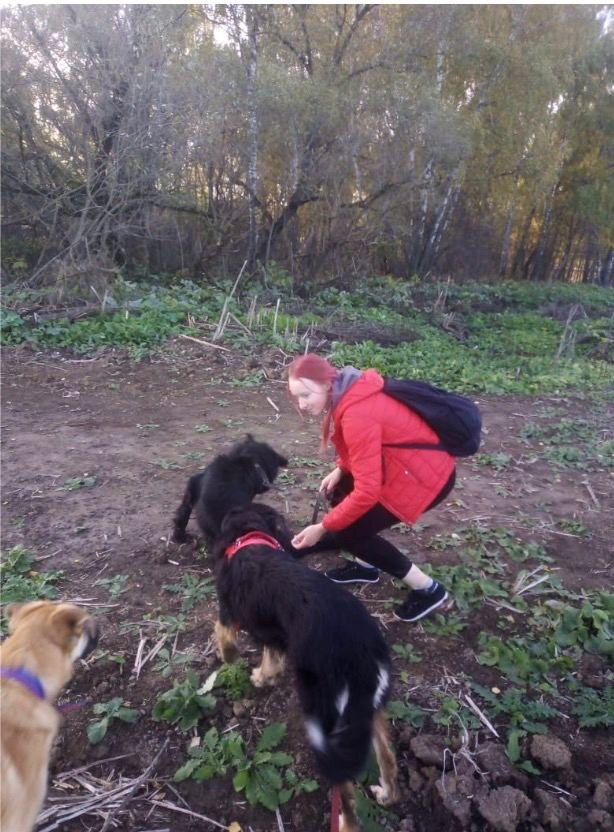 anna, pet sitter in Amsterdam, photo 2