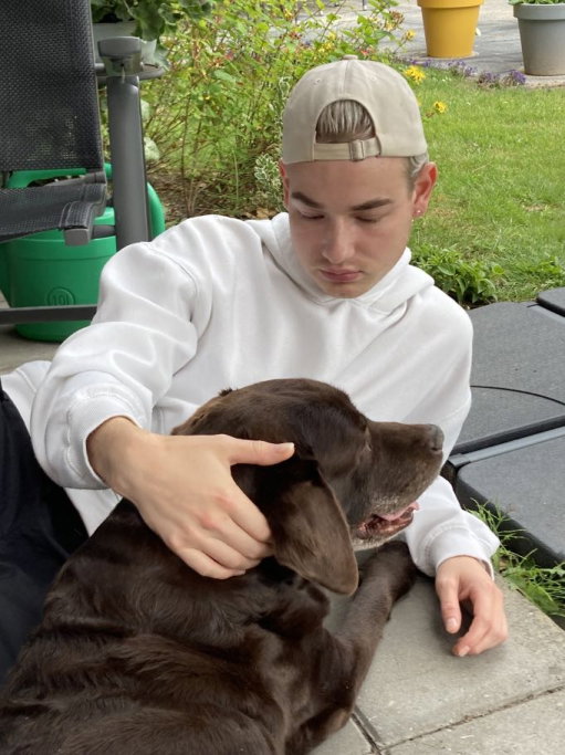 Nordin, pet sitter in Deventer, photo 3