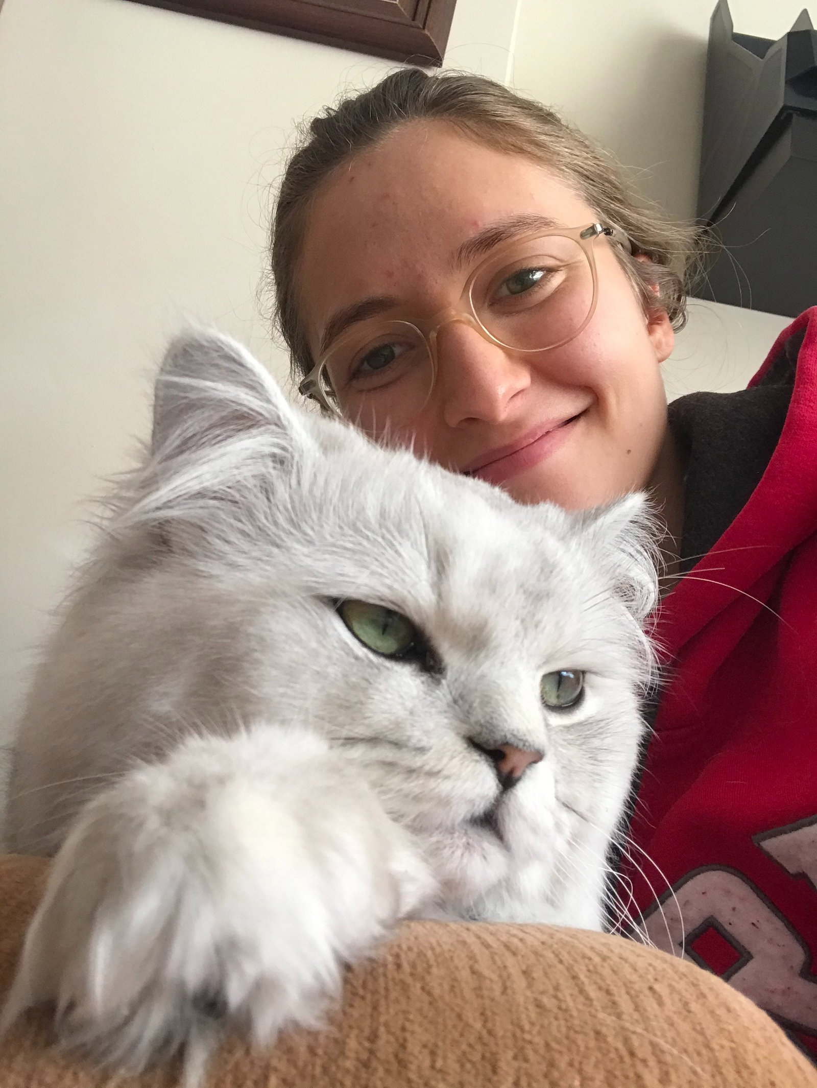 Aylin, pet sitter in Leidschendam, photo 2
