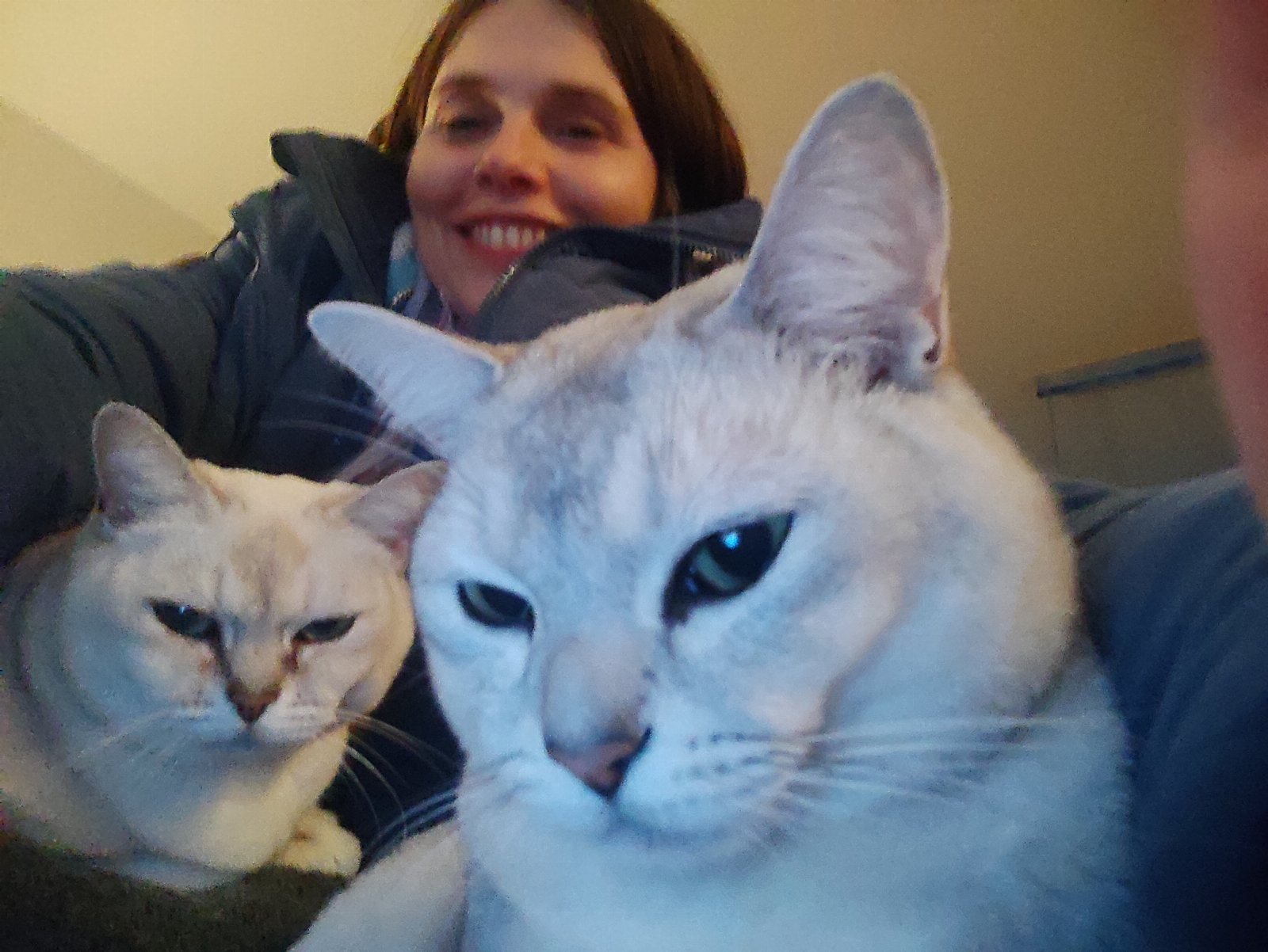 Diana, pet sitter in Berkel en Rodenrijs, photo 2