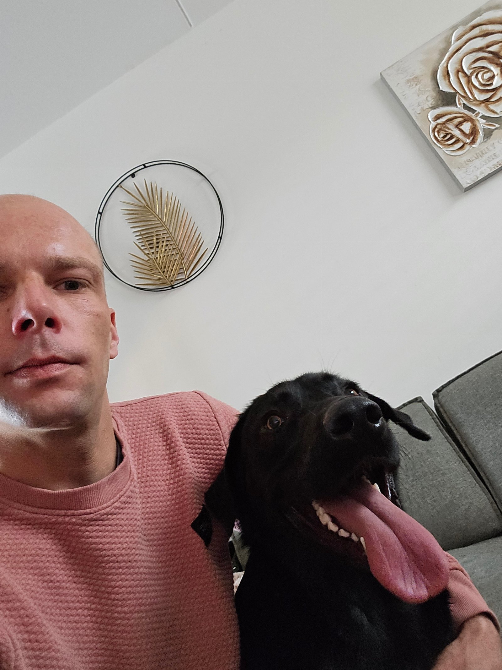 Rudy, pet sitter in Rockanje, photo 4