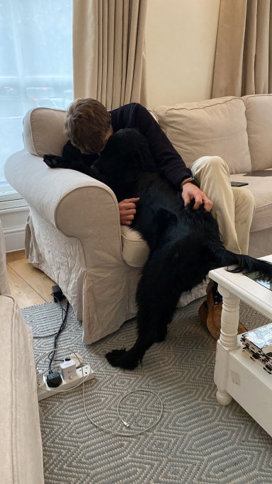ludo, pet sitter in 's-Gravenhage, photo 4