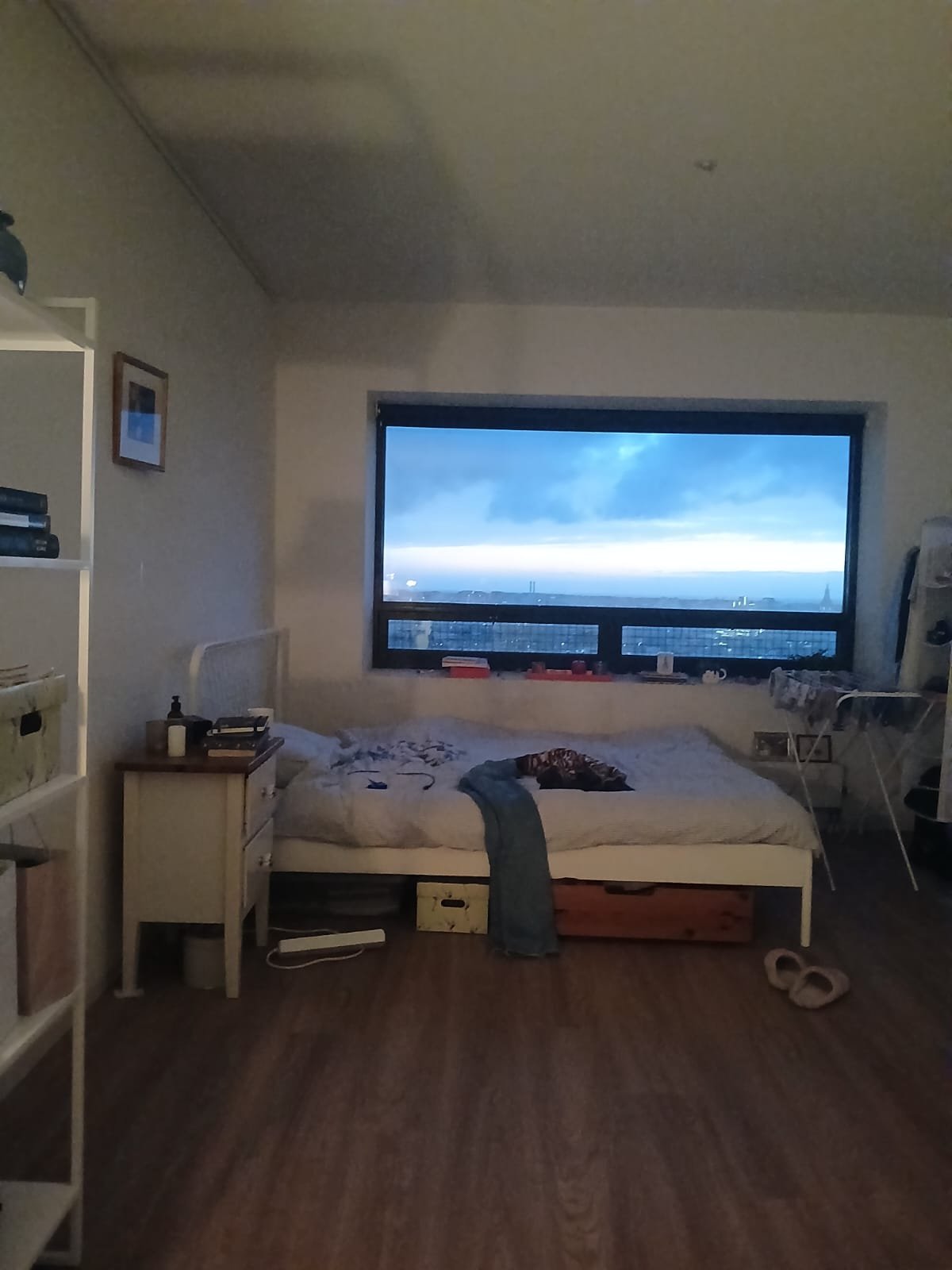 Yara, pet sitter in 's-Gravenhage, photo 3