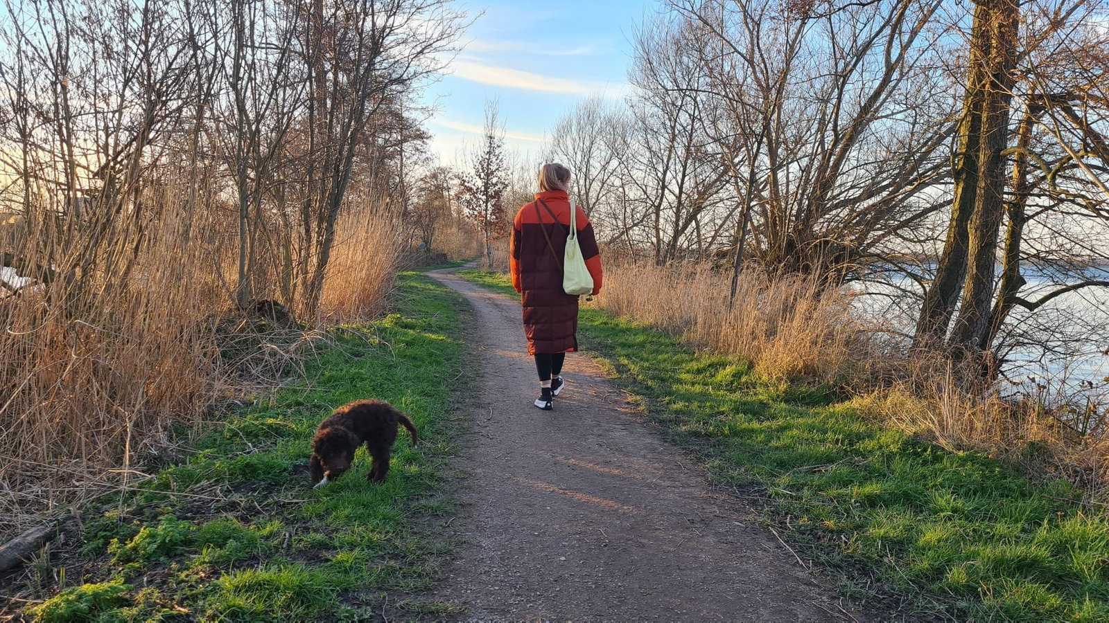 Celine, pet sitter in Hilversum, photo 3