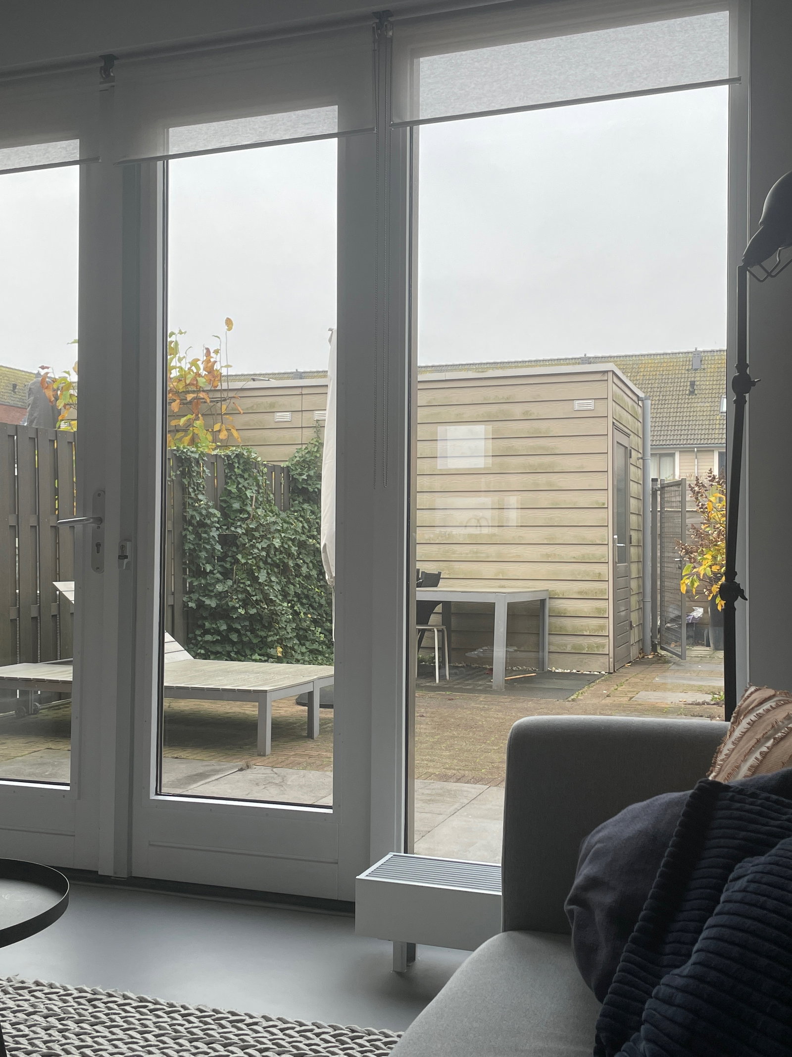 Kimberley, dierenoppas in Rotterdam, foto 2