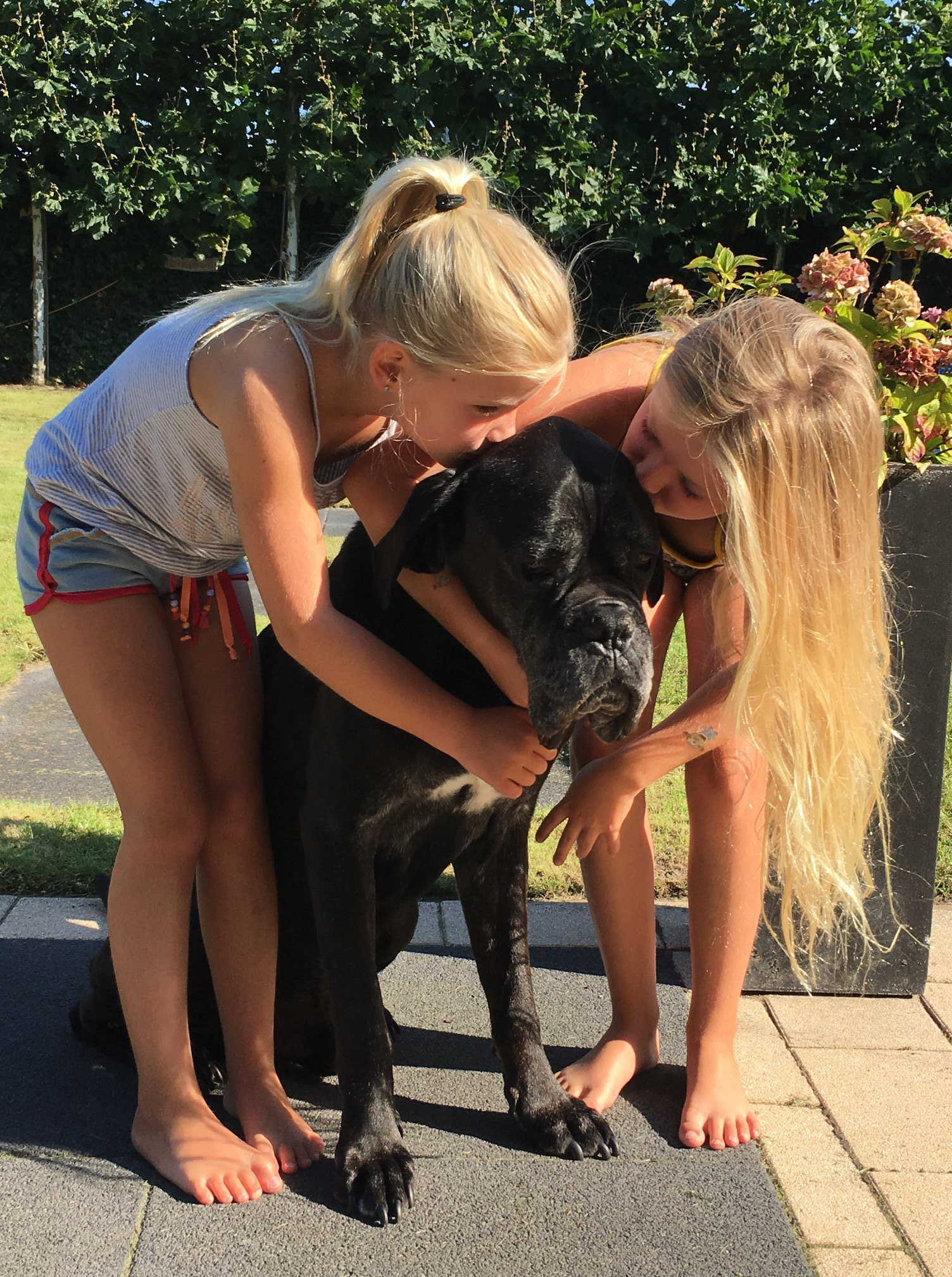 Christel, dierenoppas in Helmond, foto 4
