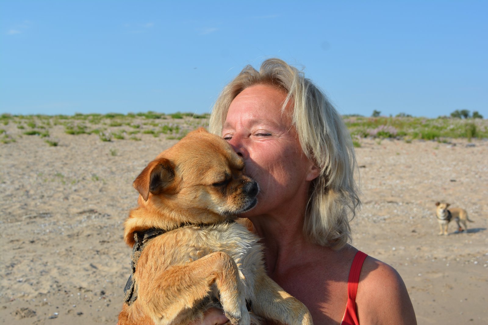 Wilma, dierenoppas in Echteld, foto 3