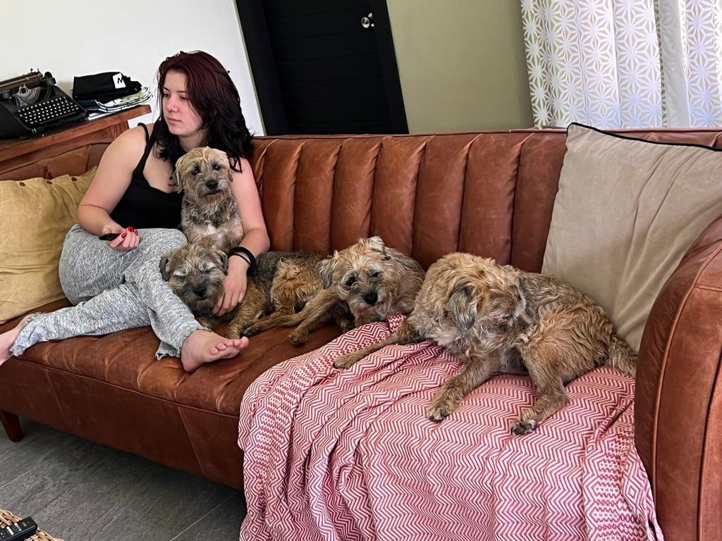 Aria, pet sitter in Amsterdam, photo 1
