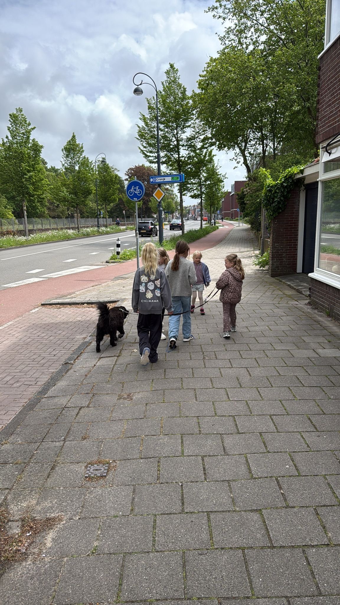amber, pet sitter in Haarlem, photo 1