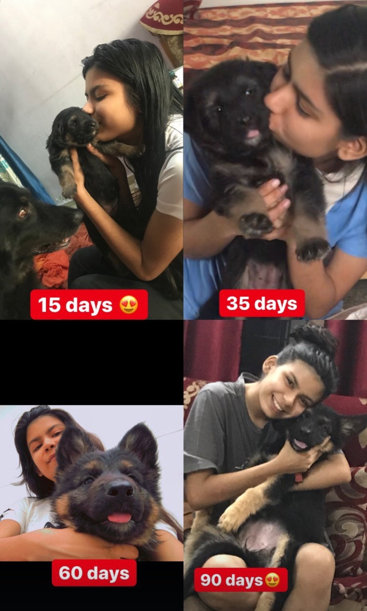 Ananyaa, pet sitter in Freiburg im Breisgau, photo 2