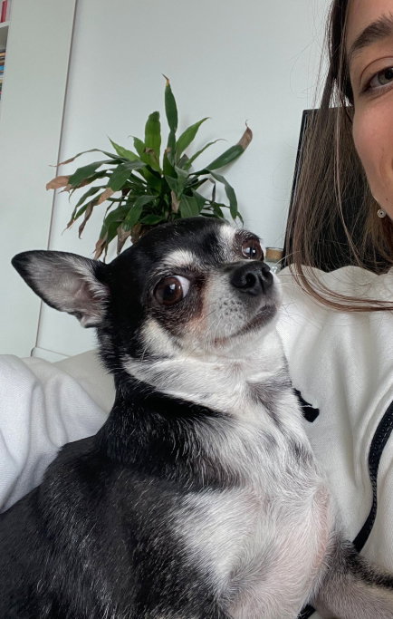 Pelin, dierenoppas in Amsterdam, foto 1