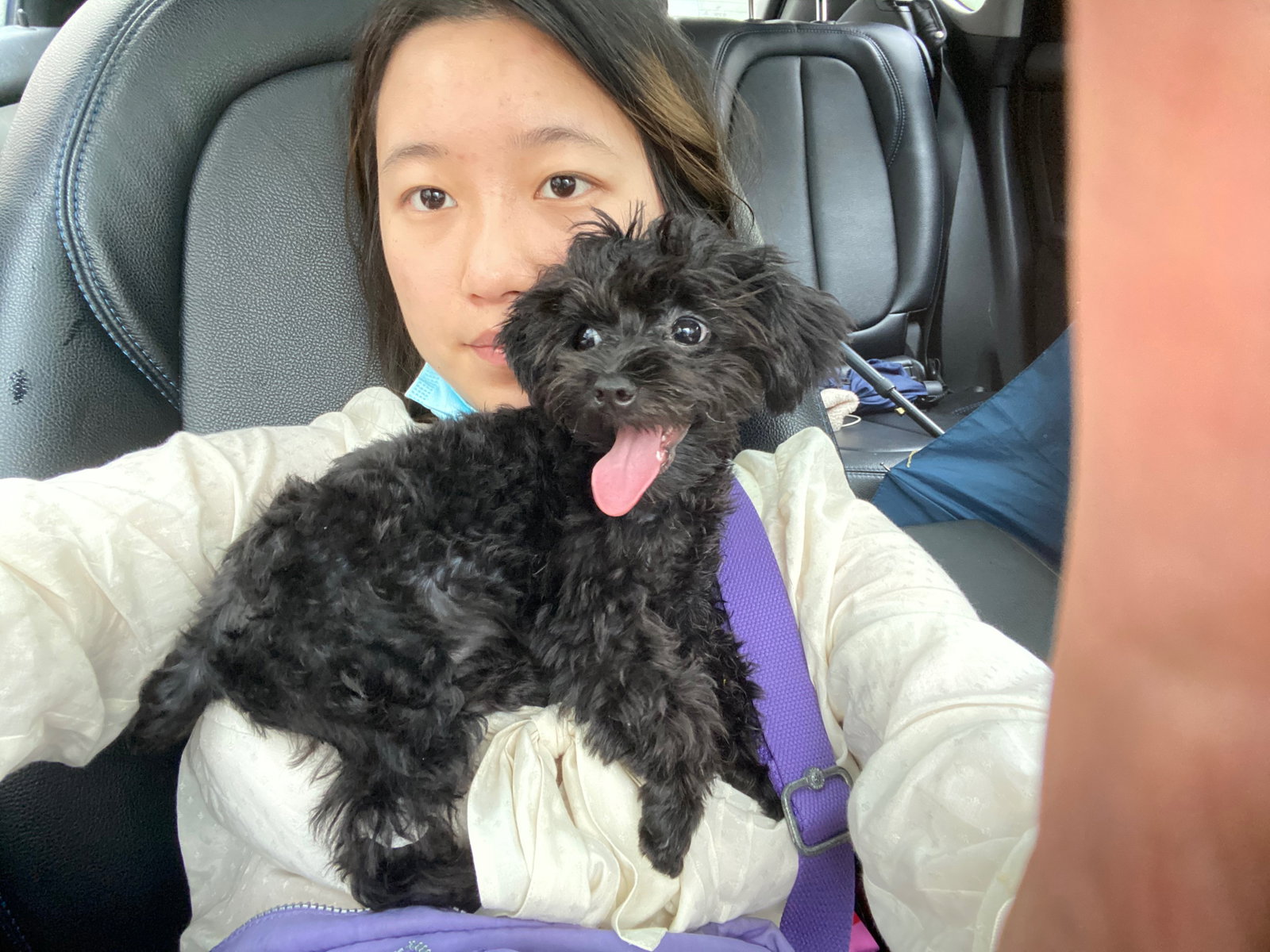 xuanxuan, pet sitter in 's-Gravenhage, photo 3