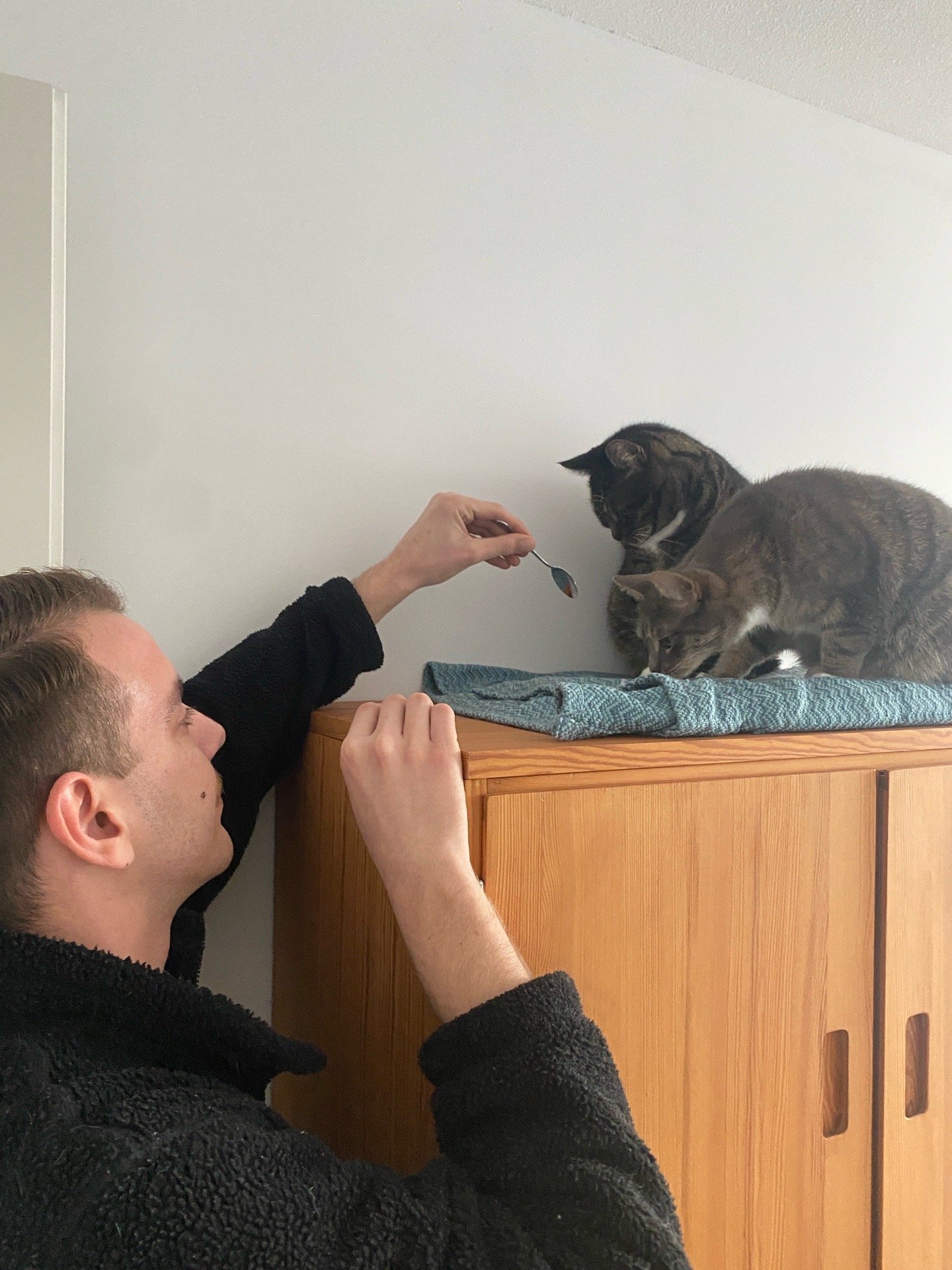 Alejandro, pet sitter in Amsterdam, photo 4