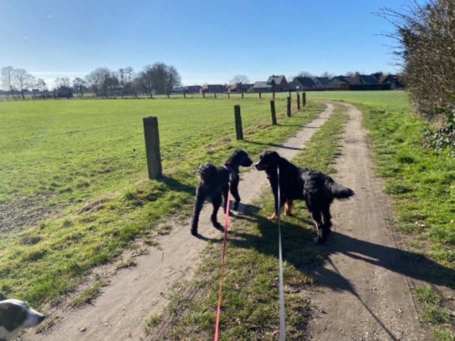 Nina, pet sitter in Budel, photo 1