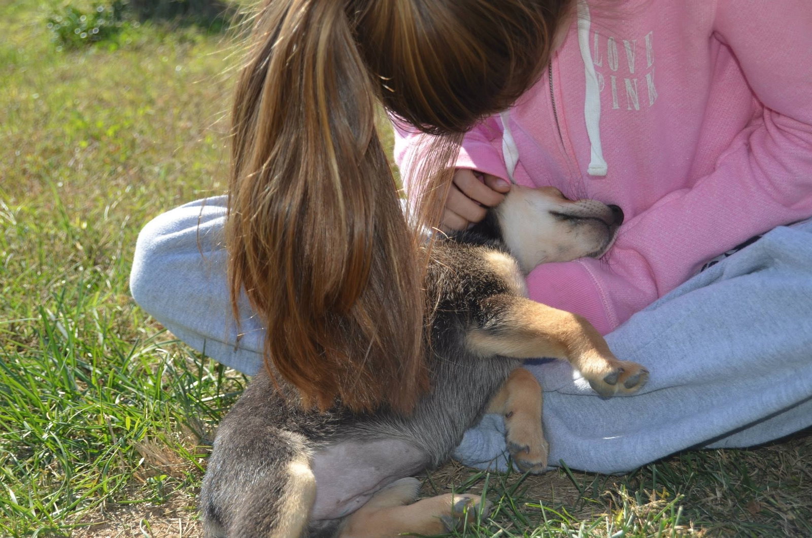 Keighan, pet sitter in Rotterdam, photo 2