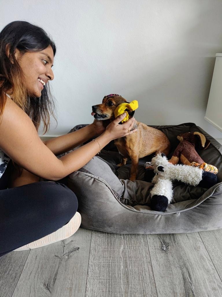 Pallavi, pet sitter in Amsterdam, photo 2