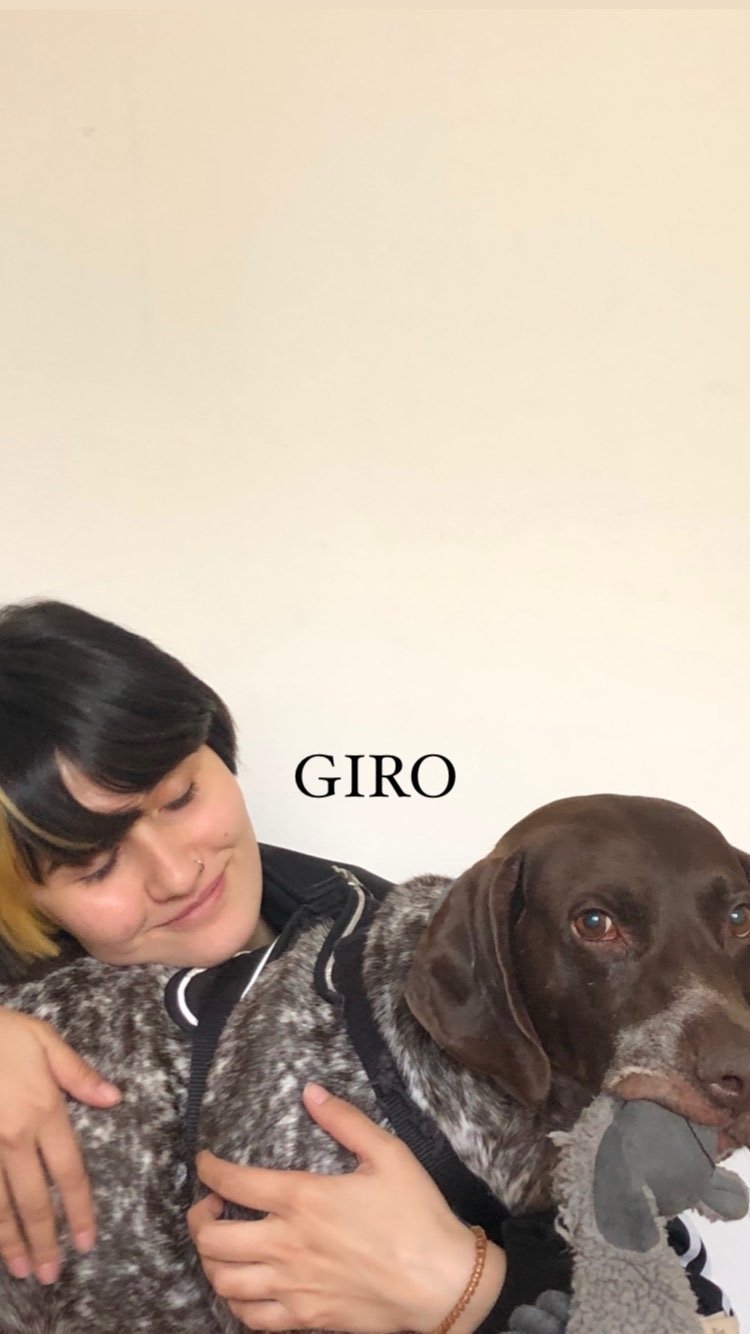 Dana, pet sitter in Rotterdam, photo 3