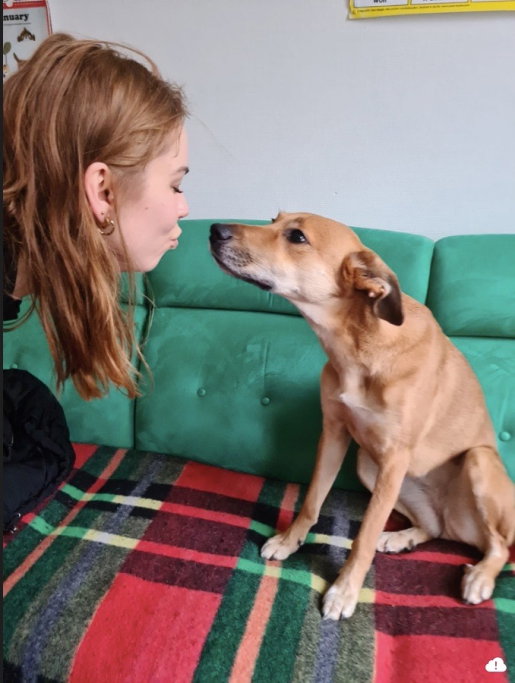 Trisha, pet sitter in Utrecht, photo 2