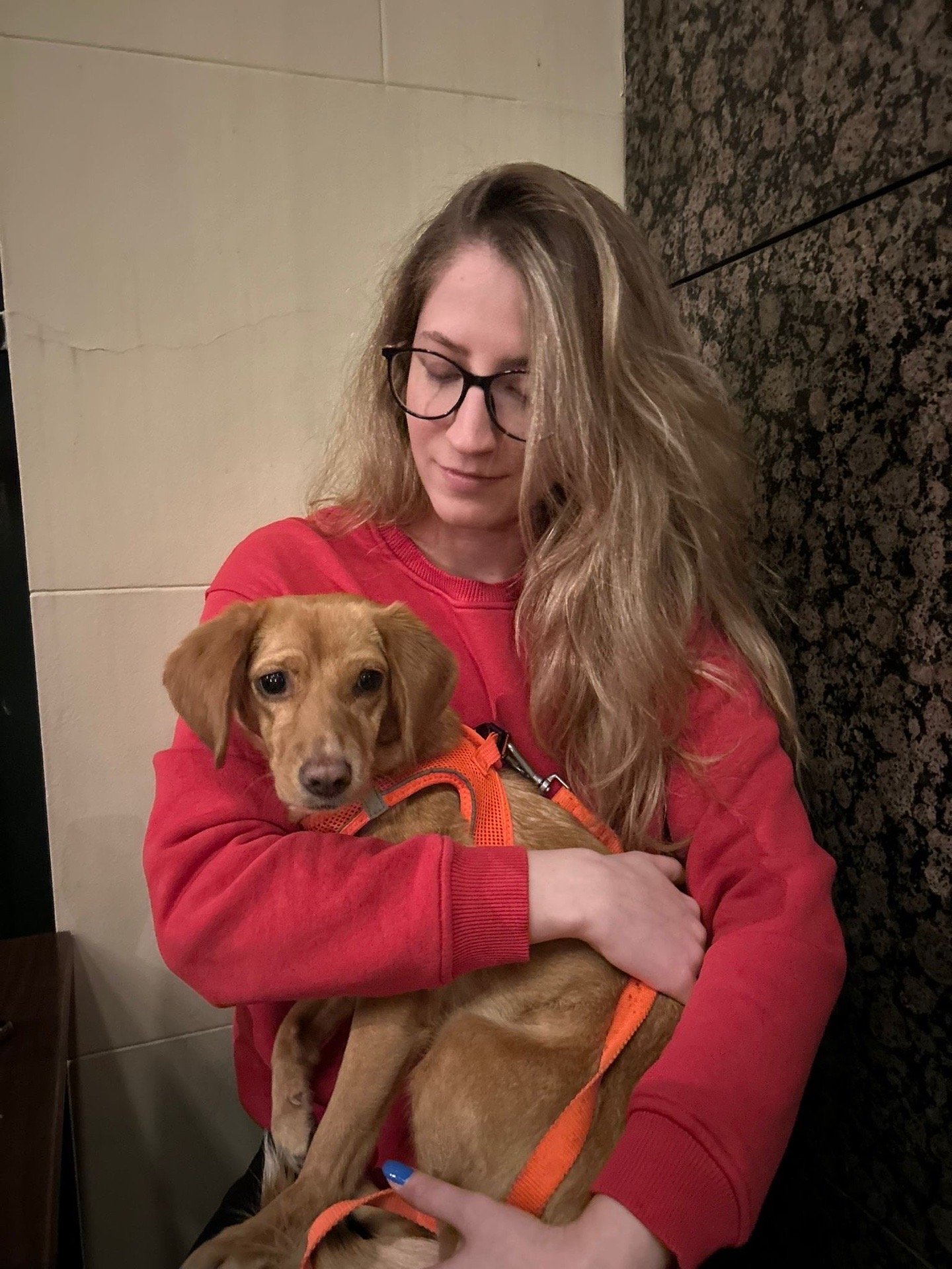 Ekin, pet sitter in 's-Gravenhage, photo 5