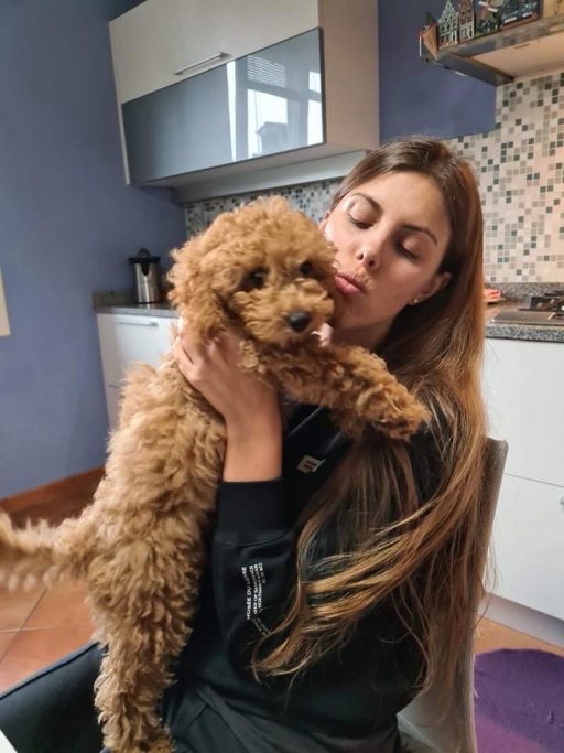 Elena, pet sitter in Amsterdam, photo 1