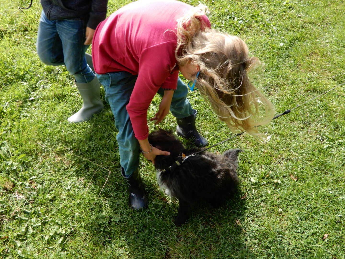 Arnoud, pet sitter in Haarlem, photo 2
