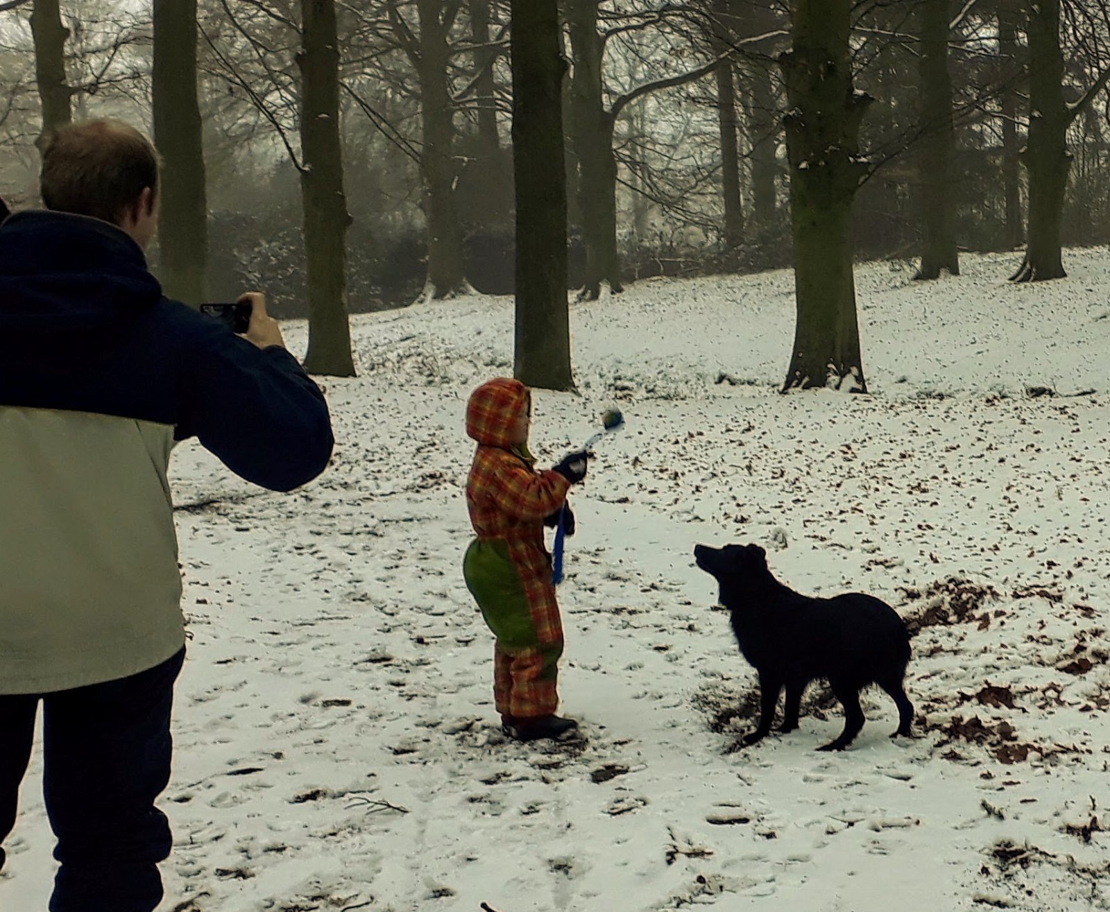 Anita, dierenoppas in Driebergen-Rijsenburg, foto 4