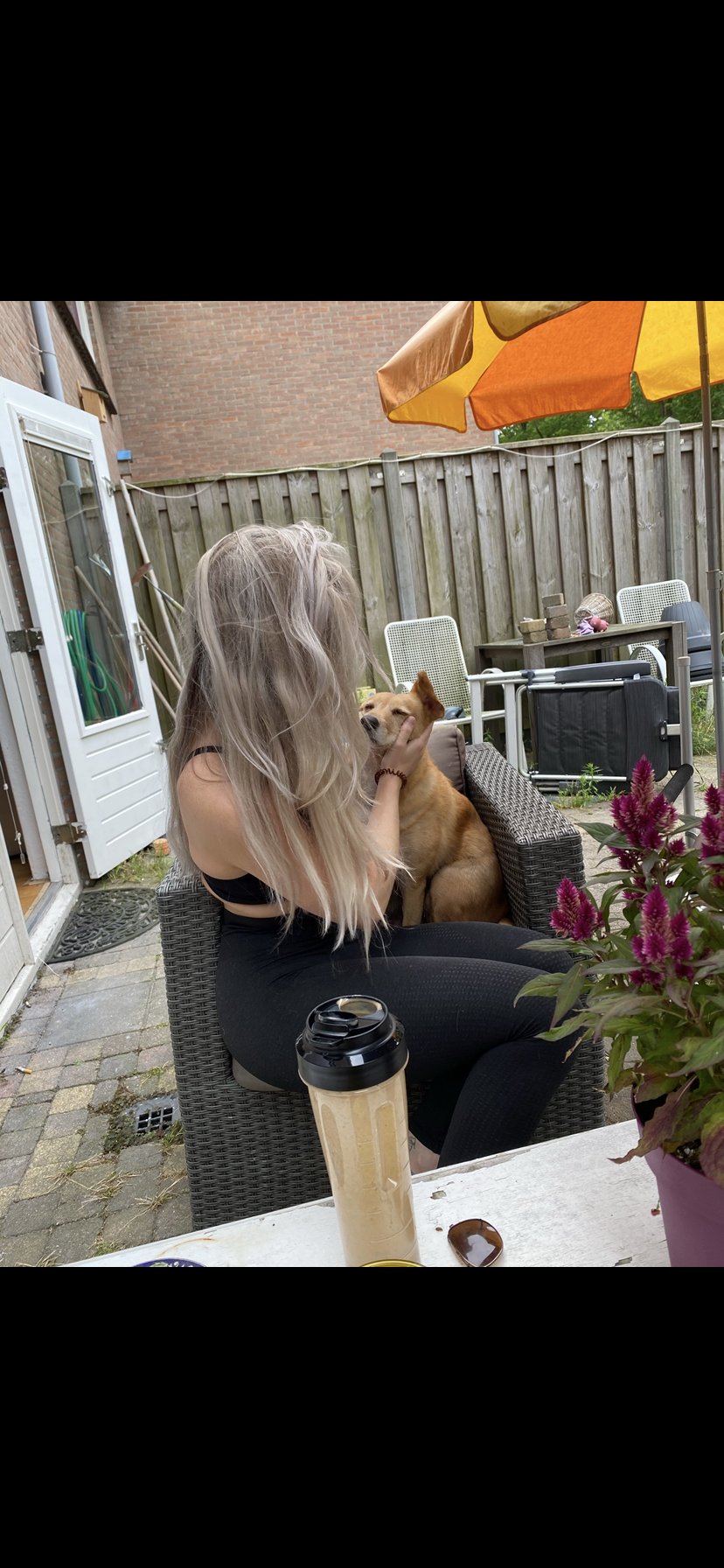 Lanou, pet sitter in Amsterdam, photo 2