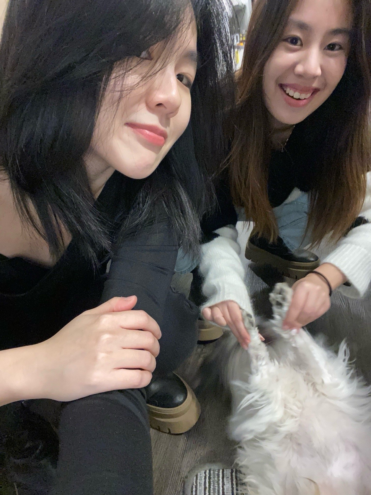 Mia, pet sitter in Amsterdam, photo 1