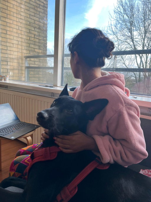 Tanima, pet sitter in Leiden, photo 4