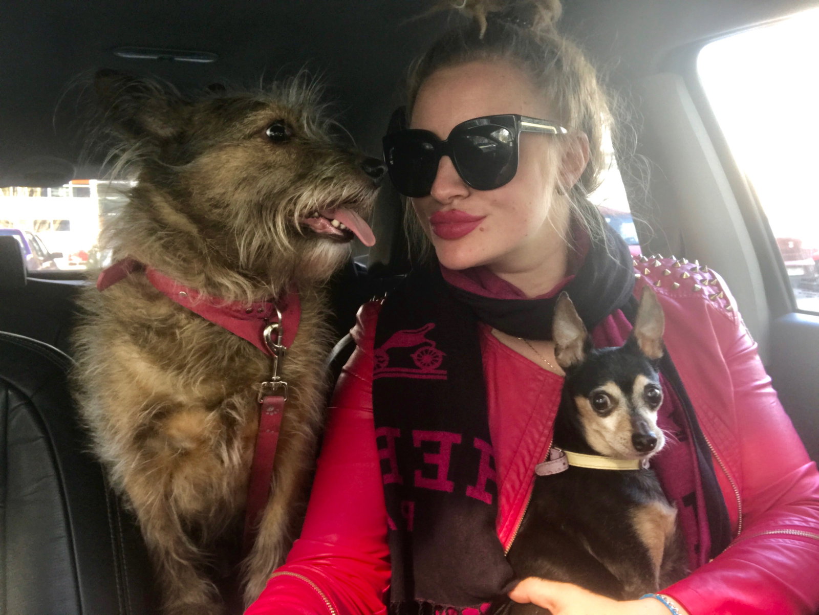 Alexandra, pet-sitter à Antwerpen, photo 2