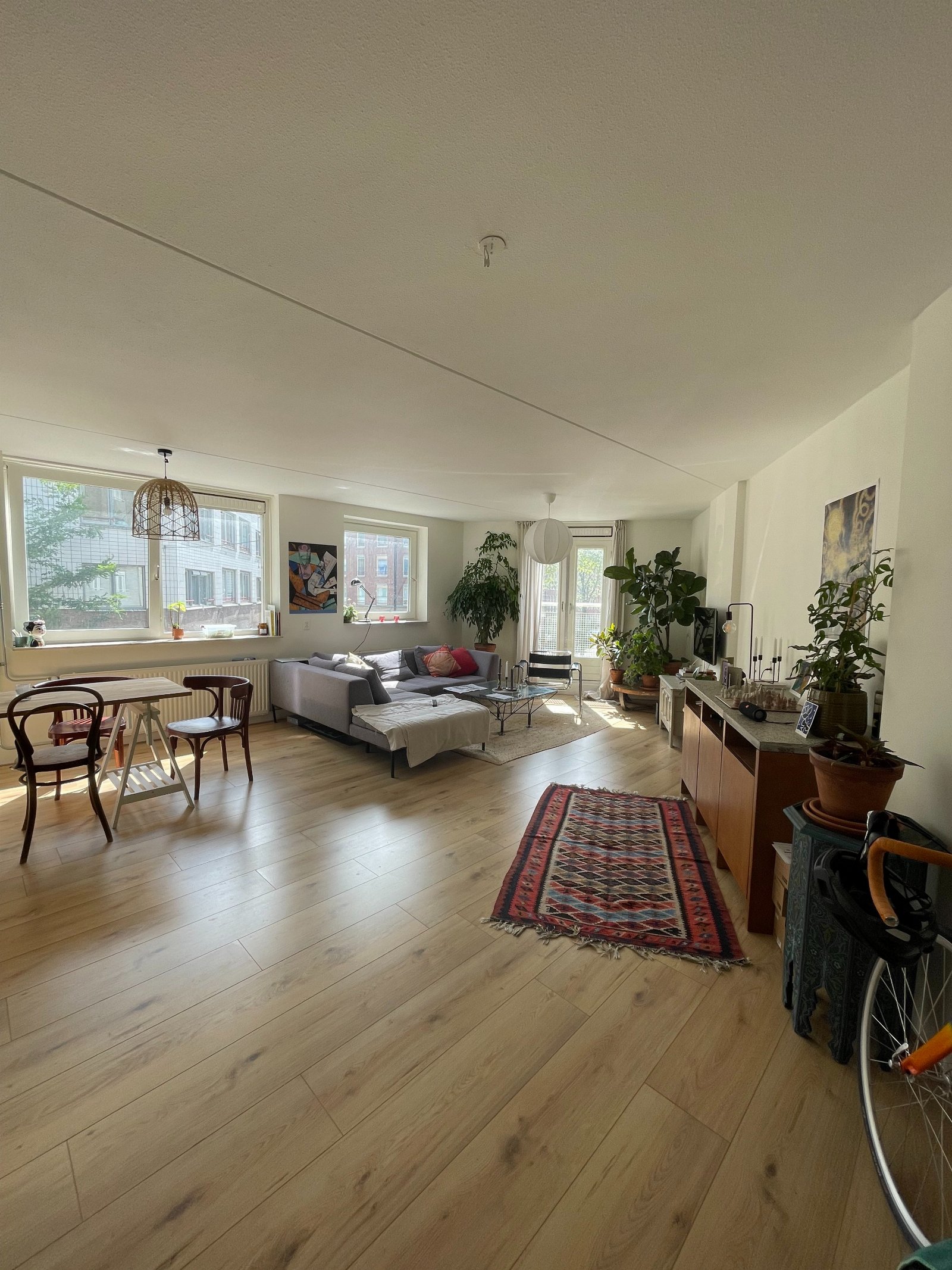 Sanne, pet sitter in Amsterdam, photo 2