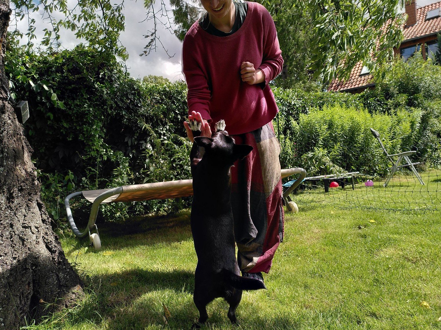 Charlotte, Tiersitter in Mainz , Foto 4
