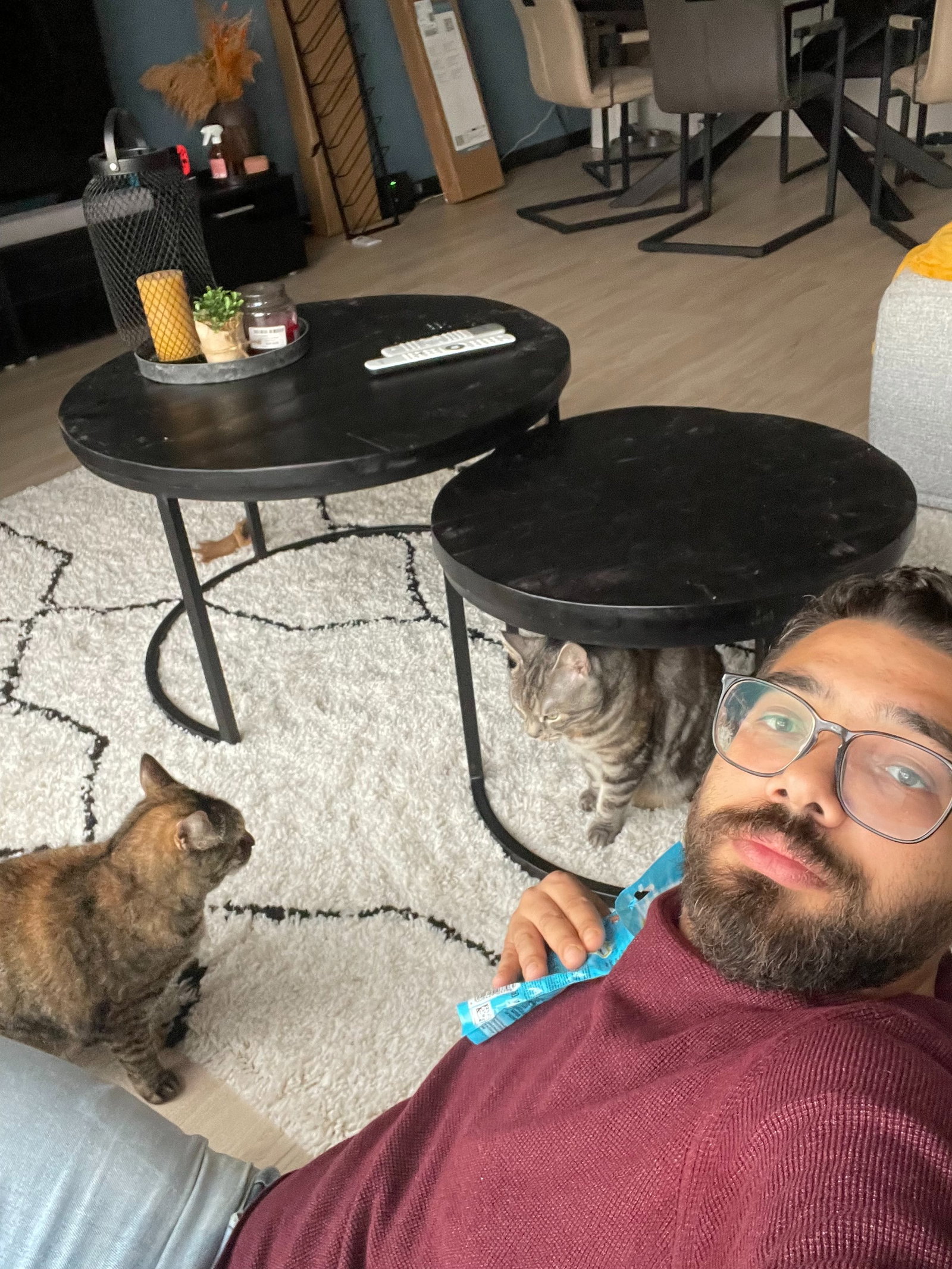 Hassan, pet sitter in Rotterdam, photo 4