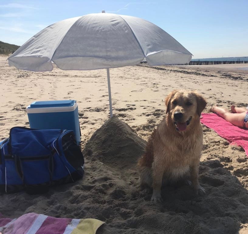 Britt, pet sitter in Tilburg, photo 1