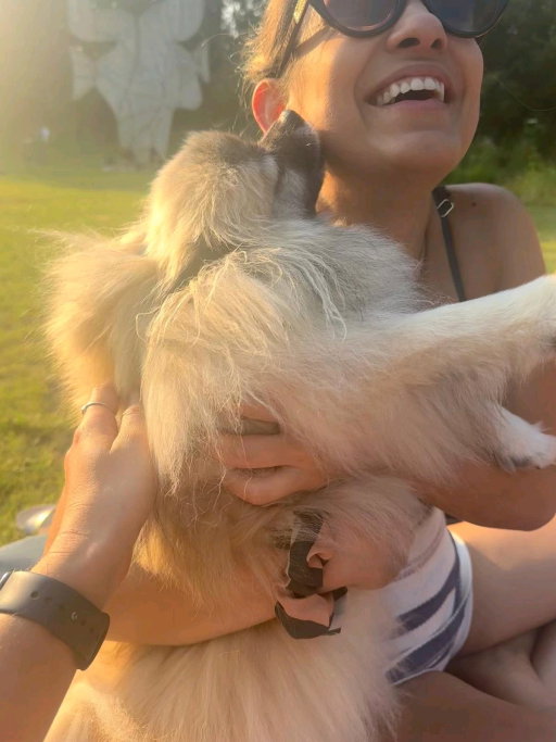 Bruna, pet sitter in Amstelveen, photo 3