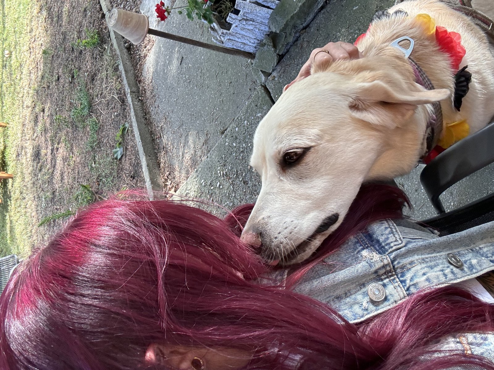 Linda, Tiersitter in Leipzig, Foto 2
