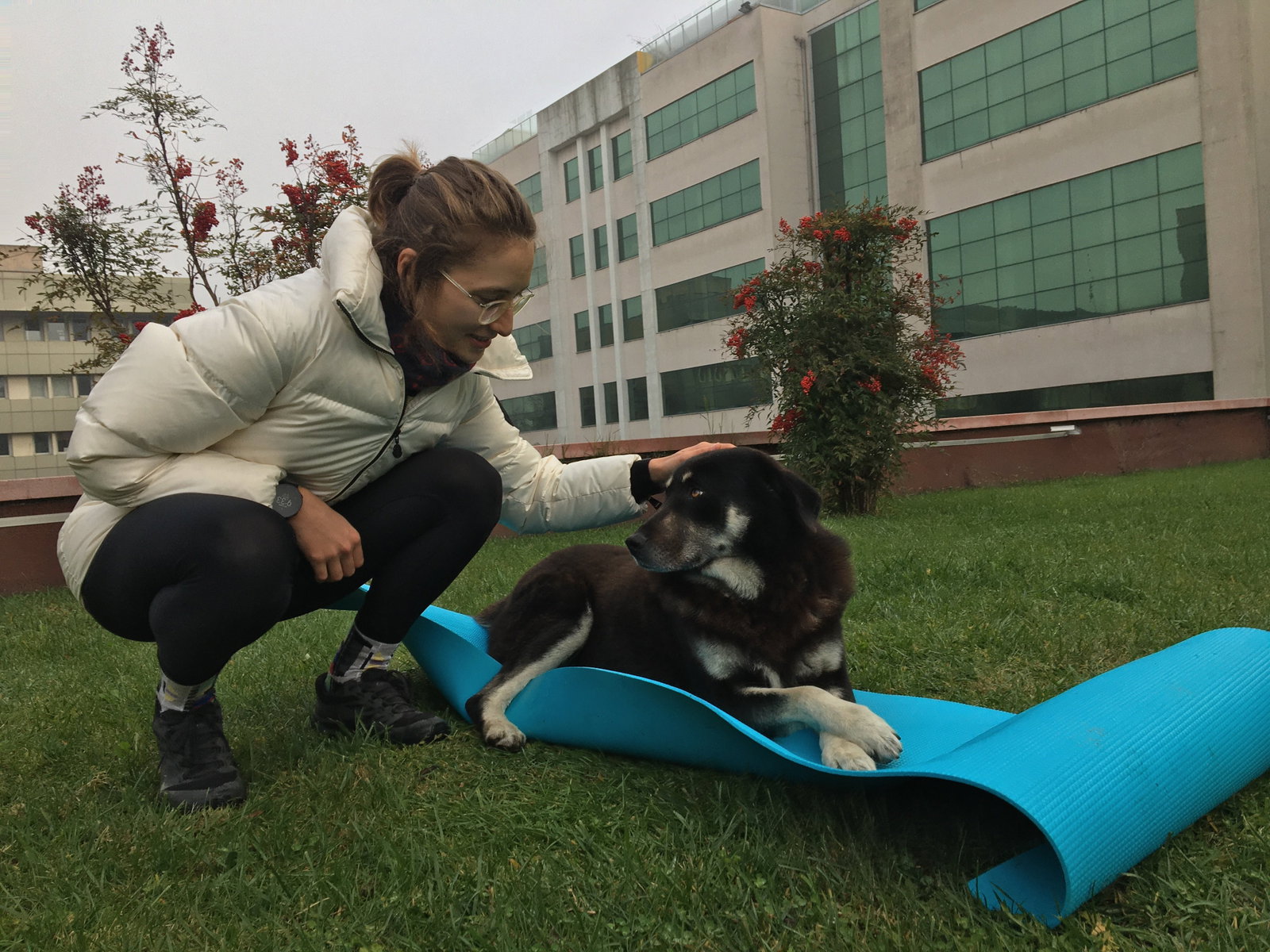 Aylin, pet sitter in Leidschendam, photo 1