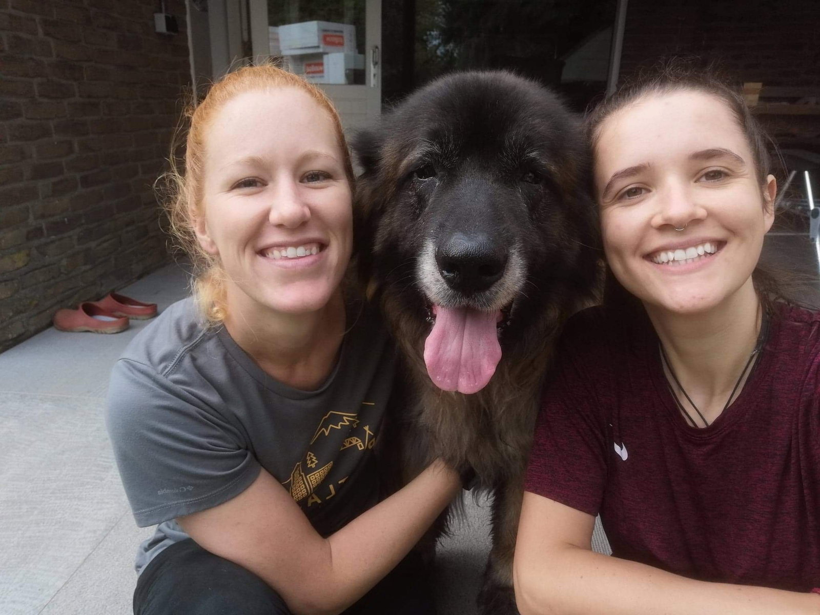 Moniek, pet sitter in Nieuwegein , photo 5