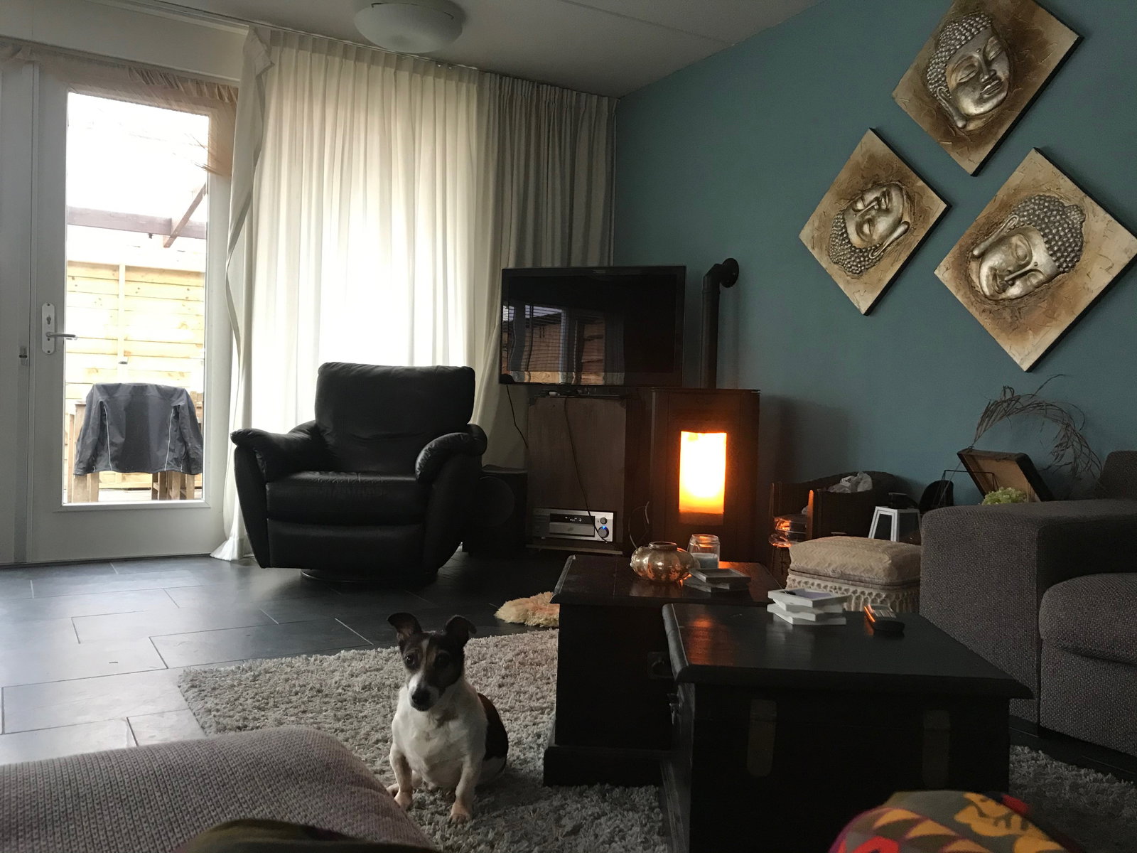 Paul, pet sitter in Slootdorp, photo 3