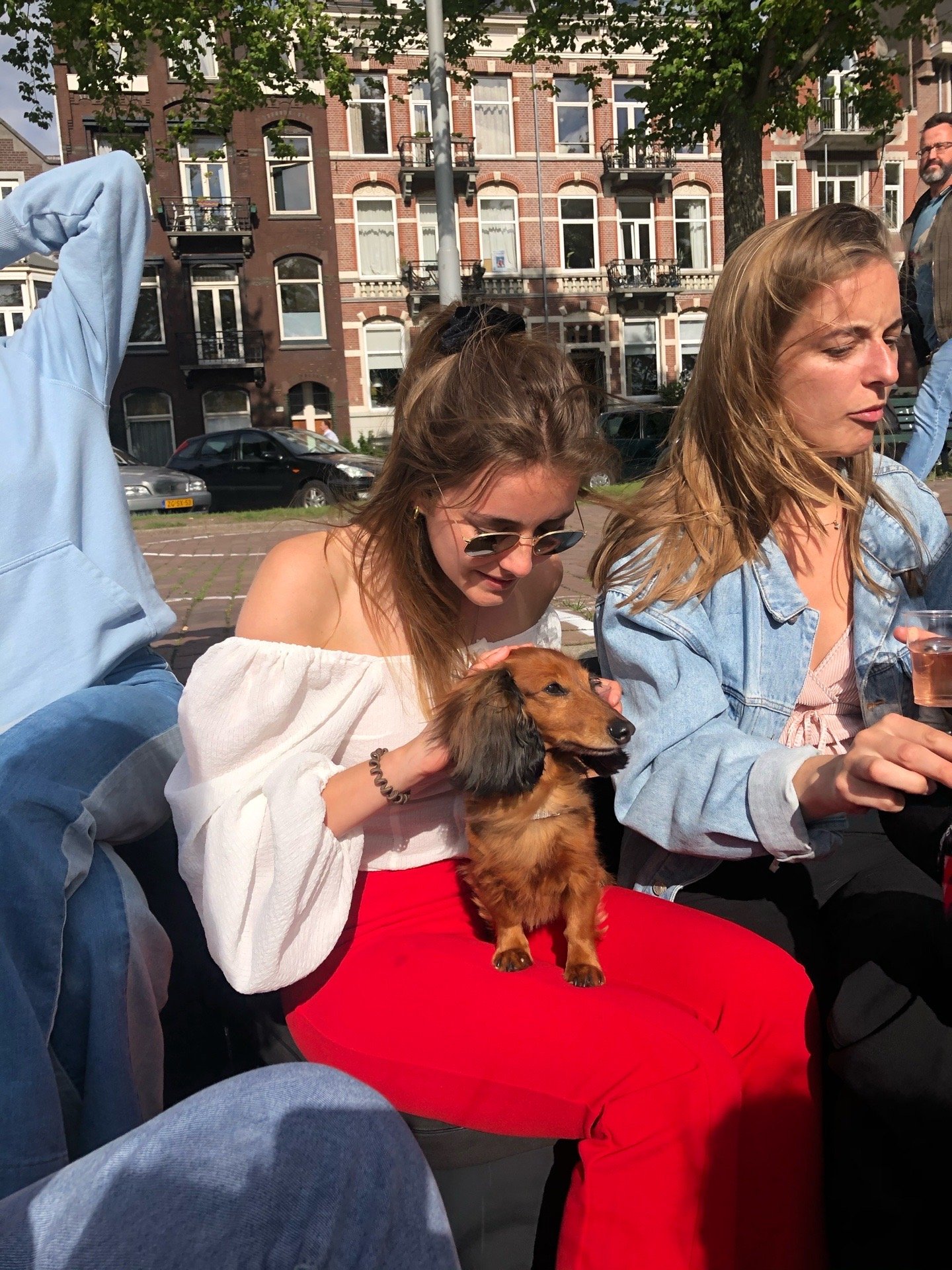 Freya, pet sitter in Amsterdam, photo 3