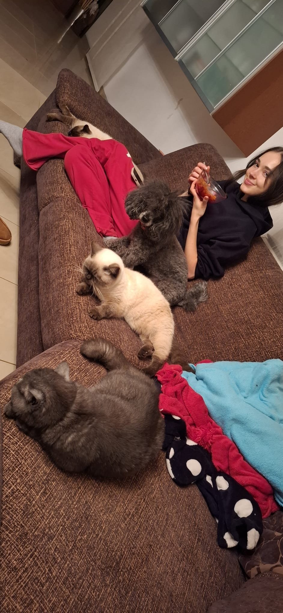 Stella, pet sitter in 's-Gravenhage, photo 5