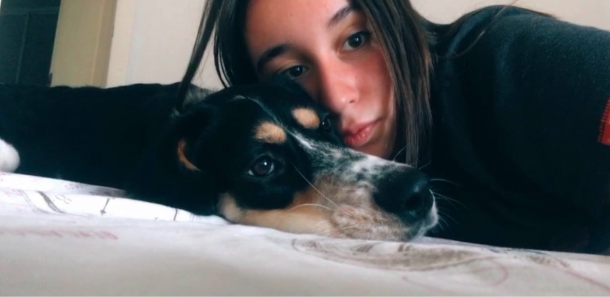 Zeynep, pet sitter in Leiden, photo 1