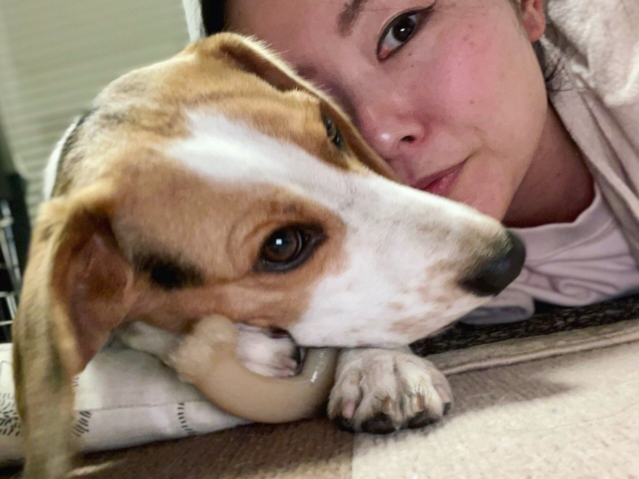 Asako, pet sitter in Delft, photo 3